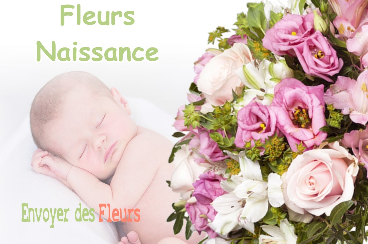 lIVRAISON FLEURS NAISSANCE à LECHELLE